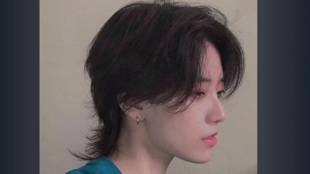 wolf haircut for men